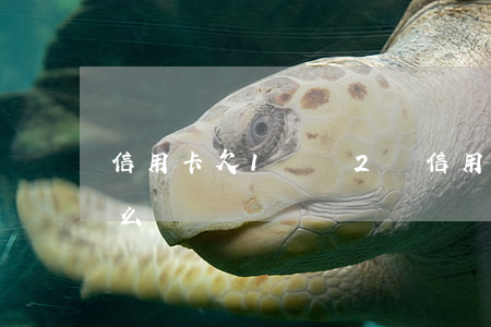 信用卡欠1萬還2萬(信用卡欠1萬還2萬怎么辦)