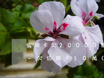 信用卡欠20000逾期10個(gè)月-欠信用卡10萬(wàn)逾期兩年