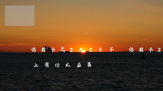 信用卡欠2000不還(信用卡2000還不上有什么后果)