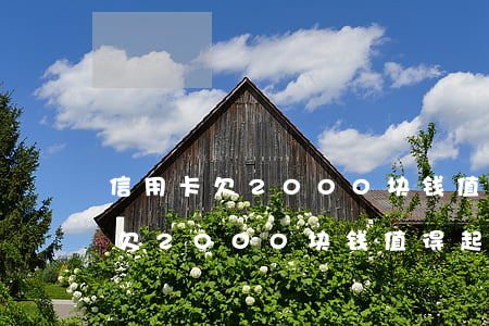 信用卡欠2000块钱值得起诉么-信用卡欠2000块钱值得起诉么吗