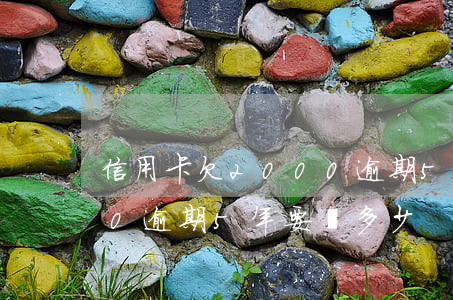 信用卡欠2000逾期5年(信用卡欠2000逾期5年要還多少)