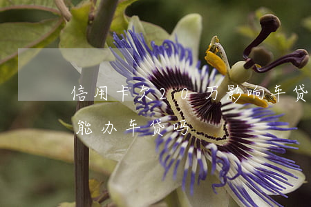 信用卡欠20万影响车贷吗(欠信用卡十万还能办车贷吗)