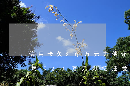 信用卡欠20万无力偿还可以自首吗-欠信用卡20万无力偿还会判多久