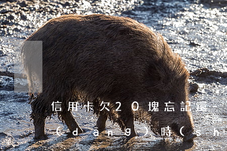 信用卡欠20塊忘記還-欠信用卡幾十元當(dāng)時(shí)忘記還,后來還了,買房貸款影響嗎