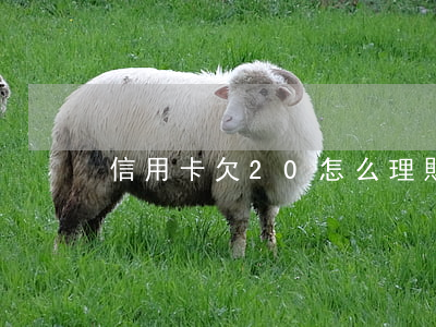 信用卡欠20怎么理財(cái)