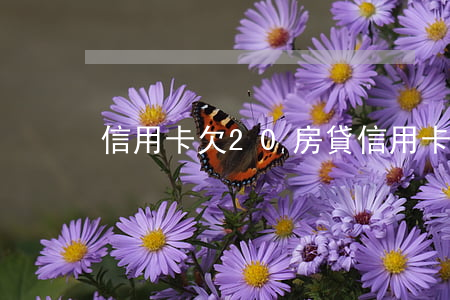 信用卡欠20房貸(信用卡20萬欠款辦房貸)