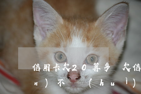 信用卡欠20算多嗎 欠信用卡20萬(wàn)不還會(huì)怎么樣