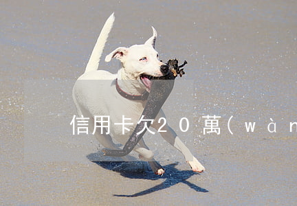 信用卡欠20萬(wàn)失業(yè)