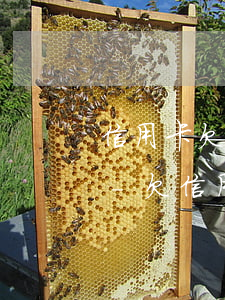 信用卡欠20萬(wàn)還不上了怎么辦-欠信用卡20萬(wàn)還不起怎么辦