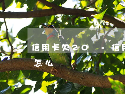 信用卡欠20萬-信用卡欠20萬無力償還怎么辦
