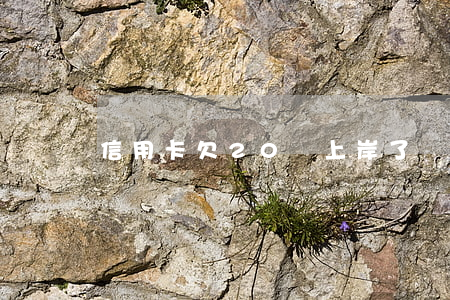 信用卡欠20萬上岸了