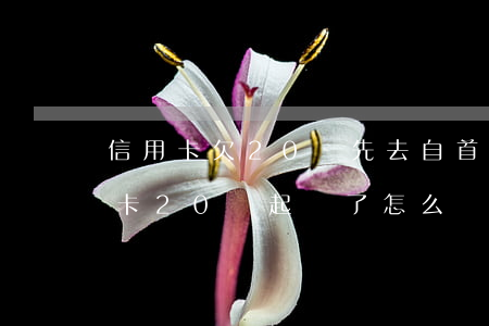 信用卡欠20萬先去自首還是起訴-欠信用卡20萬起訴了怎么辦