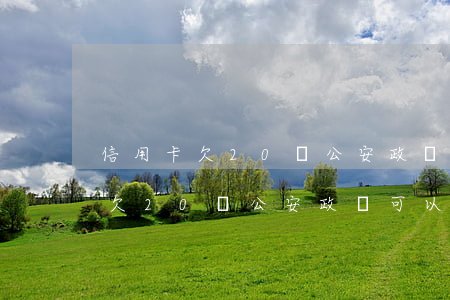 信用卡欠20萬公安政審可以過嗎-信用卡欠20萬公安政審可以過嗎知乎