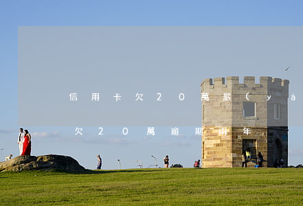 信用卡欠20萬嚴(yán)重逾期(信用卡欠20萬逾期兩年)