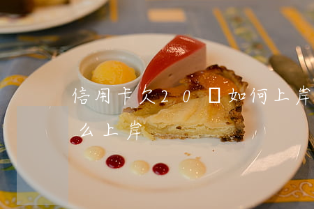 信用卡欠20萬如何上岸(欠信用卡20萬怎么上岸)