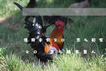信用卡欠20萬怎么和家里人說-信用卡欠20萬怎么和家里人說呢