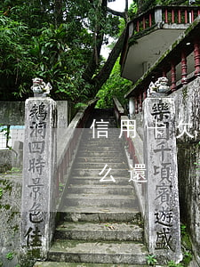 信用卡欠20萬怎么貸-欠20萬信用卡怎么還