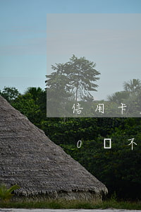 信用卡欠20萬怎么還比較好(信用卡欠了20萬不還會怎么樣)