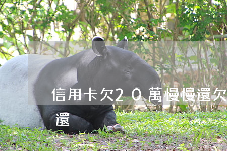 信用卡欠20萬慢慢還 欠信用卡二十萬怎么還