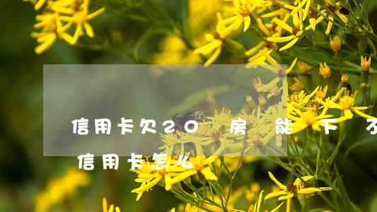 信用卡欠20萬房貸能辦下來不(欠了20萬信用卡怎么辦)