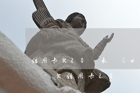 信用卡欠20萬未穩(wěn)定收入怎么辦-欠信用卡20萬無力償還怎么辦