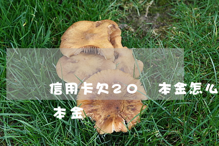 信用卡欠20萬本金怎么算（信用卡欠20萬本金）