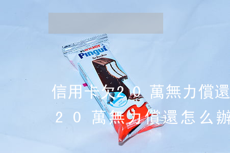 信用卡欠20萬無力償還怎么辦-信用卡欠20萬無力償還怎么辦判幾年