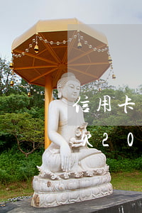 信用卡欠20萬無力償還該怎么辦-信用卡欠20萬無力償還該怎么辦呢