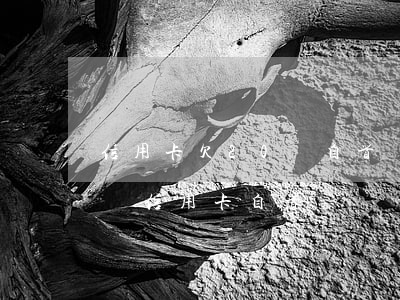 信用卡欠20萬自首還是起訴好-欠200萬信用卡自首