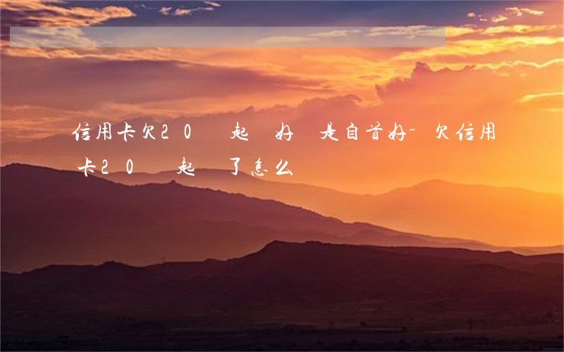 信用卡欠20萬起訴好還是自首好-欠信用卡20萬起訴了怎么辦