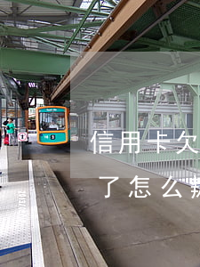 信用卡欠20萬跑路(欠信用卡20萬被起訴了怎么辦)