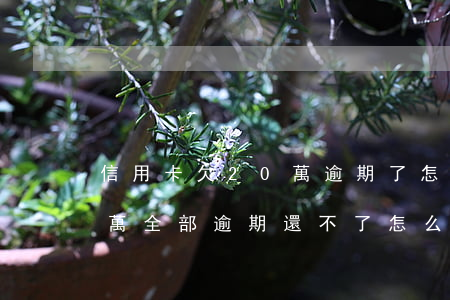 信用卡欠20萬逾期了怎么辦(欠信用卡幾十萬全部逾期還不了怎么辦)