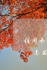 信用卡欠22萬(wàn)無(wú)力償還怎么辦-信用卡欠22萬(wàn)無(wú)力償還怎么辦呢
