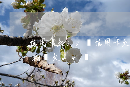 信用卡欠22萬(信用卡欠22萬,借唄,京東,微粒貸欠24萬)