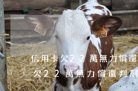 信用卡欠22萬無力償還判刑多久-信用卡欠22萬無力償還判刑多久呢
