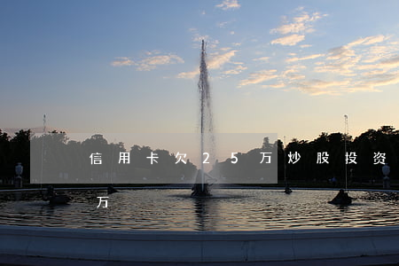 信用卡欠25万炒股(投资失败欠信用卡25万)