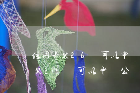 信用卡欠26萬可以申請公積金嗎-信用卡欠26萬可以申請公積金嗎