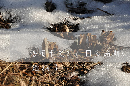 信用卡欠26萬后逾期5年(欠信用卡五十萬逾期了)