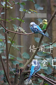 信用卡欠2700元違約金(欠信用卡的錢違約金這么高)