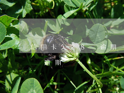 信用卡欠28萬逾期會坐牢嗎（信用卡欠28萬逾期）