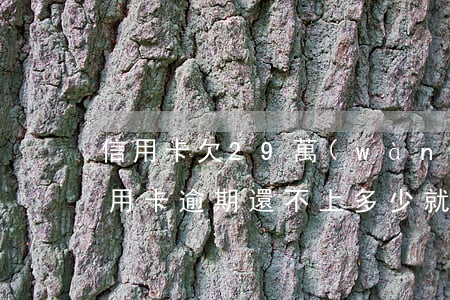 信用卡欠29萬(wàn)逾期怎么辦(欠信用卡逾期還不上多少就可以起訴了)