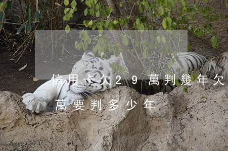 信用卡欠29萬判幾年(欠銀行信用卡二十多萬要判多少年)
