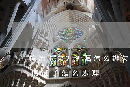 信用卡欠29萬怎么辦(欠信用卡28萬 無力償還了,怎么處理?)