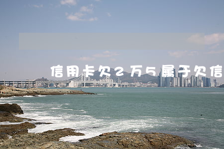 信用卡欠2万5属于(欠信用卡2万会怎么样)