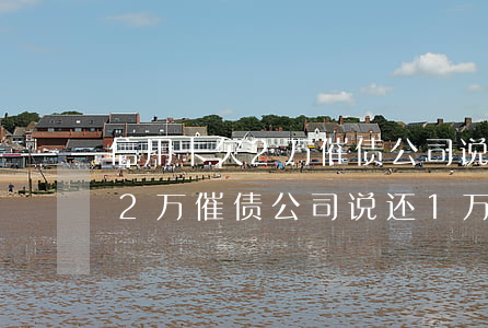 信用卡欠2万催债公司说还1万-信用卡欠2万催债公司说还1万怎么办