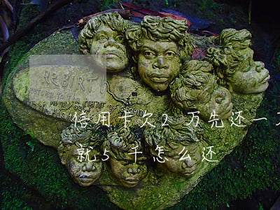 信用卡欠2万先还一万五行吗(欠信用卡2万就5千怎么还)
