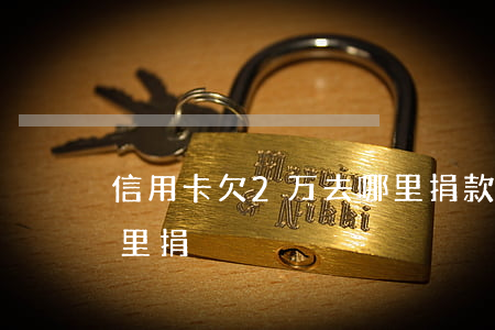 信用卡欠2万去哪里捐款（信用卡欠2万去哪里捐）
