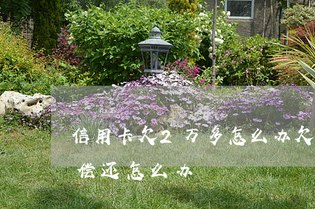 信用卡欠2万多怎么办(欠了信用卡2万无力偿还怎么办)