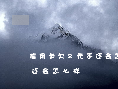 信用卡欠2元不还会怎么样(信用卡欠2元不还会怎么样)