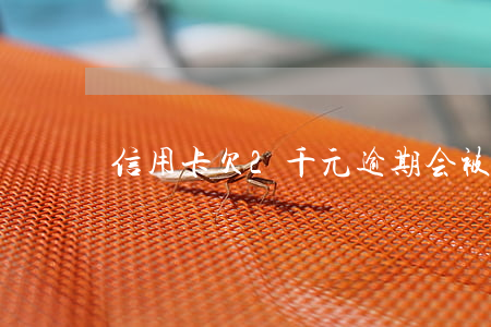 信用卡欠2千元逾期会被起诉吗-